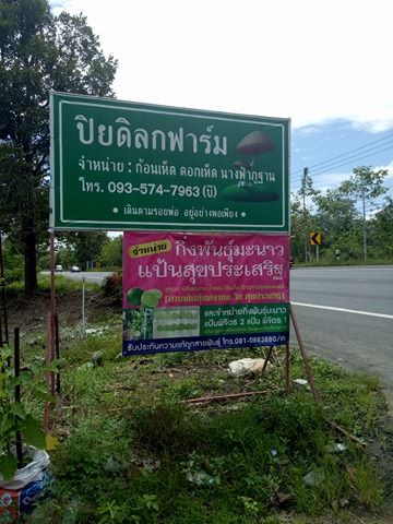 การลงพื้นที่ของเจ้าหน้าที่สำรวจสินค้า/อาหาร/ที่พัก ตลาดประชารัฐท้องถิ่นสุขใจ 4.0